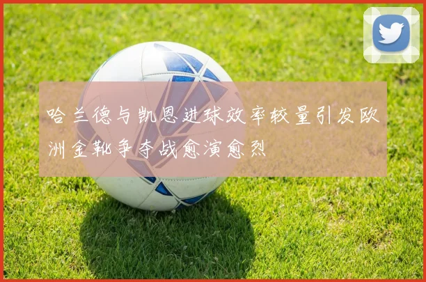 哈兰德与凯恩进球效率较量引发欧洲金靴争夺战愈演愈烈